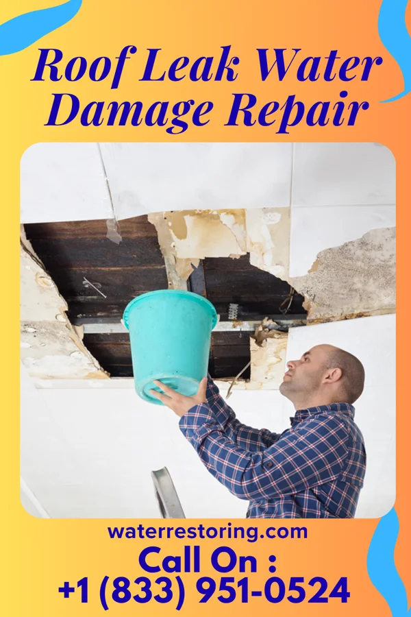 Roof Leak Water Damage Repair in Potosi, WI